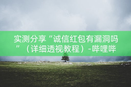 实测分享“诚信红包有漏洞吗”（详细透视教程）-哔哩哔哩