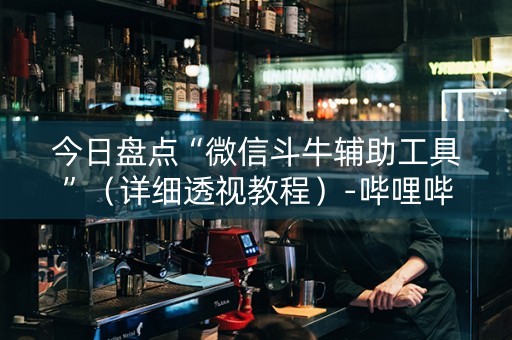 今日盘点“微信斗牛辅助工具”（详细透视教程）-哔哩哔哩