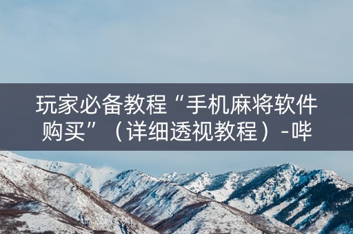 玩家必备教程“手机麻将软件购买”（详细透视教程）-哔哩哔哩