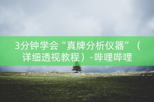 3分钟学会“真牌分析仪器”（详细透视教程）-哔哩哔哩