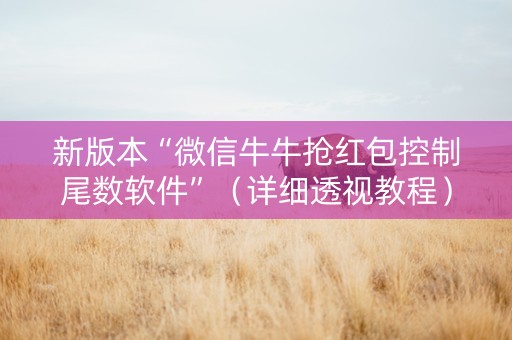 新版本“微信牛牛抢红包控制尾数软件”（详细透视教程）-哔哩哔哩