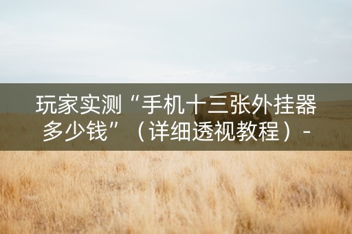 玩家实测“手机十三张外挂器多少钱”（详细透视教程）-哔哩哔哩