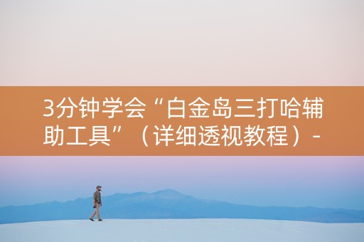 3分钟学会“白金岛三打哈辅助工具”（详细透视教程）-哔哩哔哩