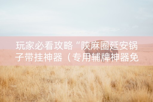 玩家必看攻略“陕麻圈延安锅子带挂神器（专用辅牌神器免安装）