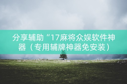 分享辅助“17麻将众娱软件神器（专用辅牌神器免安装）