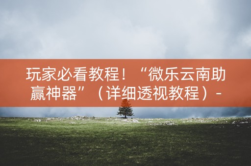 玩家必看教程！“微乐云南助赢神器”（详细透视教程）-哔哩哔哩