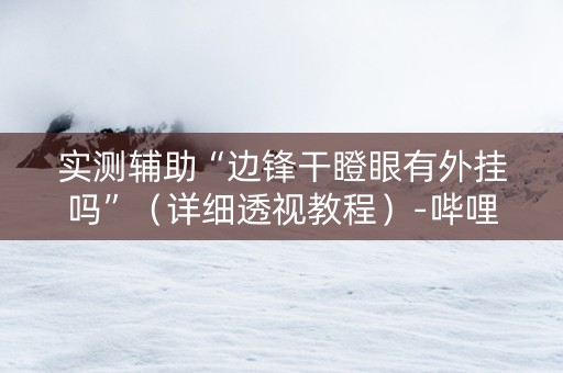 实测辅助“边锋干瞪眼有外挂吗”（详细透视教程）-哔哩哔哩