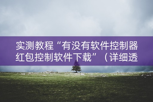 实测教程“有没有软件控制器红包控制软件下载”（详细透视教程）-哔哩哔哩