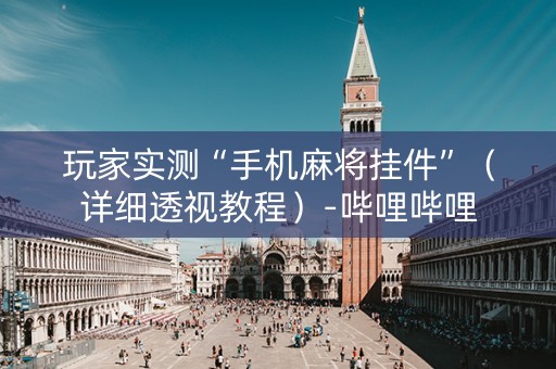 玩家实测“手机麻将挂件”（详细透视教程）-哔哩哔哩