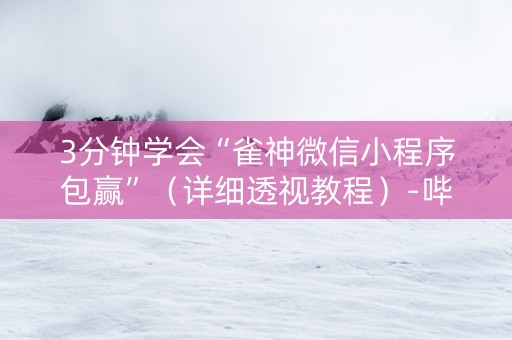 3分钟学会“雀神微信小程序包赢”（详细透视教程）-哔哩哔哩
