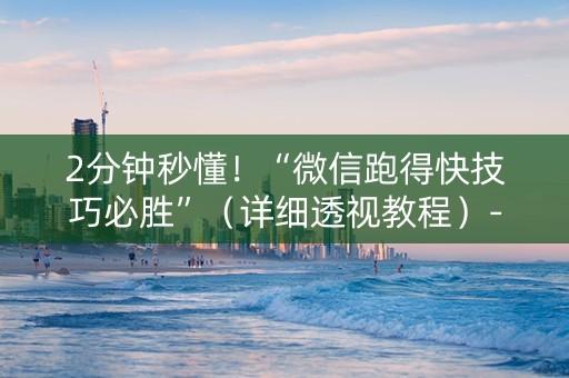 2分钟秒懂！“微信跑得快技巧必胜”（详细透视教程）-哔哩哔哩