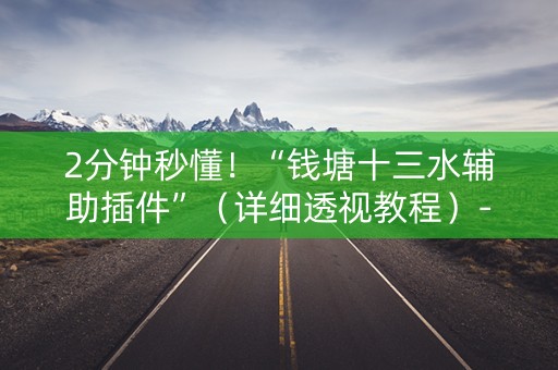 2分钟秒懂！“钱塘十三水辅助插件”（详细透视教程）-哔哩哔哩