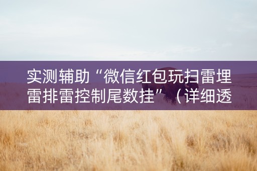 实测辅助“微信红包玩扫雷埋雷排雷控制尾数挂”（详细透视教程）-哔哩哔哩