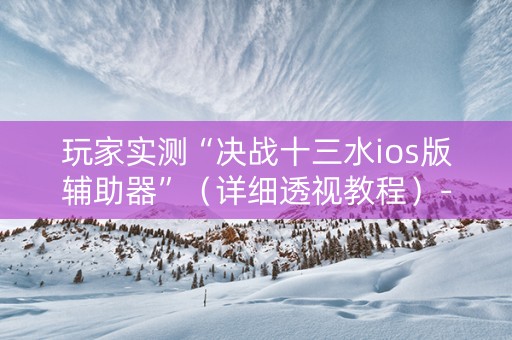玩家实测“决战十三水ios版辅助器”（详细透视教程）-哔哩哔哩