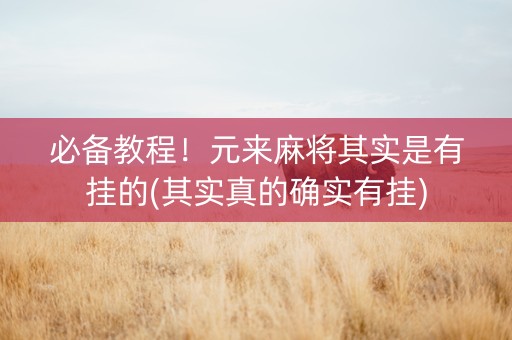 必备教程！元来麻将其实是有挂的(其实真的确实有挂)