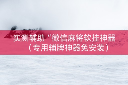 实测辅助“微信麻将软挂神器（专用辅牌神器免安装）