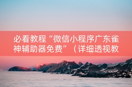 必看教程“微信小程序广东雀神辅助器免费”（详细透视教程）-哔哩哔哩