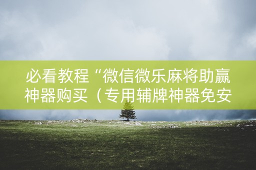 必看教程“微信微乐麻将助赢神器购买（专用辅牌神器免安装）