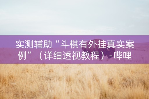 实测辅助“斗棋有外挂真实案例”（详细透视教程）-哔哩哔哩