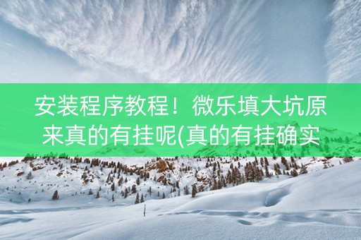 安装程序教程！微乐填大坑原来真的有挂呢(真的有挂确实有挂)
