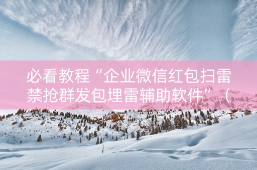 必看教程“企业微信红包扫雷禁抢群发包埋雷辅助软件”（详细透视教程）-哔哩哔哩