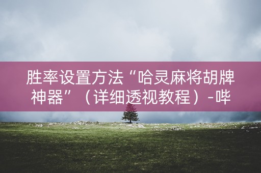 胜率设置方法“哈灵麻将胡牌神器”（详细透视教程）-哔哩哔哩