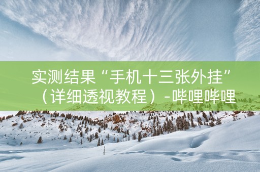 实测结果“手机十三张外挂”（详细透视教程）-哔哩哔哩