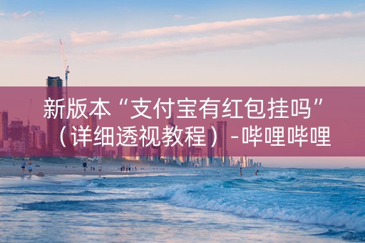 新版本“支付宝有红包挂吗”（详细透视教程）-哔哩哔哩