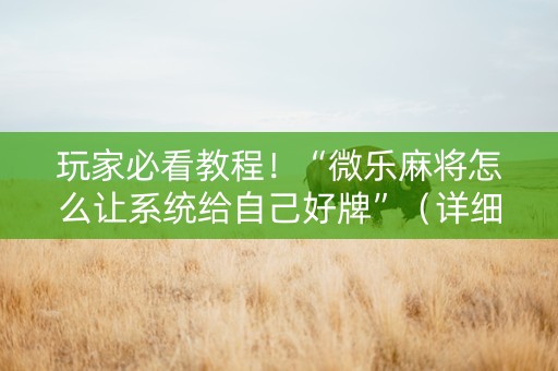 玩家必看教程！“微乐麻将怎么让系统给自己好牌”（详细透视教程）-哔哩哔哩
