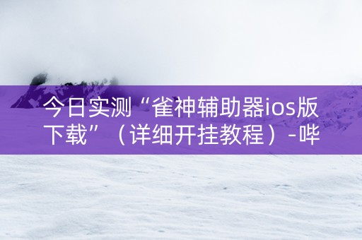 今日实测“雀神辅助器ios版下载”（详细开挂教程）-哔哩哔哩