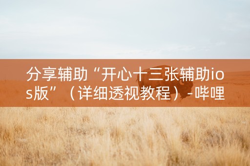 分享辅助“开心十三张辅助ios版”（详细透视教程）-哔哩哔哩