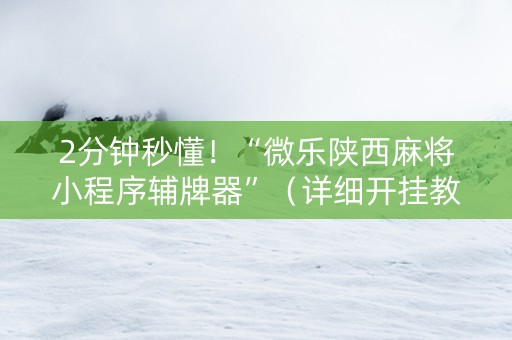 2分钟秒懂！“微乐陕西麻将小程序辅牌器”（详细开挂教程）-哔哩哔哩