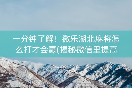 一分钟了解！微乐湖北麻将怎么打才会赢(揭秘微信里提高胜率)