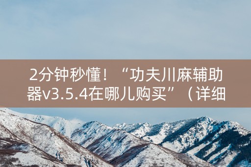 2分钟秒懂！“功夫川麻辅助器v3.5.4在哪儿购买”（详细辅助教程）-哔哩哔哩