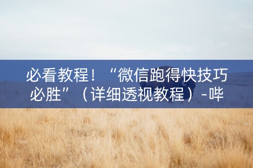 必看教程！“微信跑得快技巧必胜”（详细透视教程）-哔哩哔哩