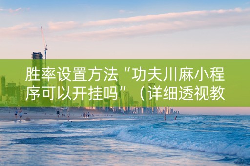 胜率设置方法“功夫川麻小程序可以开挂吗”（详细透视教程）-哔哩哔哩