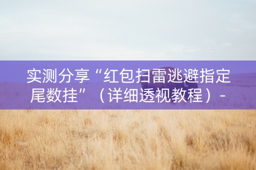 实测分享“红包扫雷逃避指定尾数挂”（详细透视教程）-哔哩哔哩