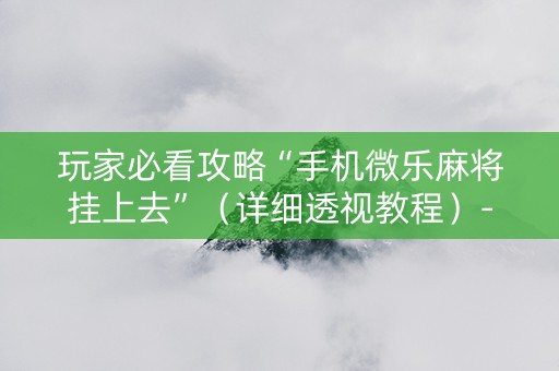 玩家必看攻略“手机微乐麻将挂上去”（详细透视教程）-哔哩哔哩