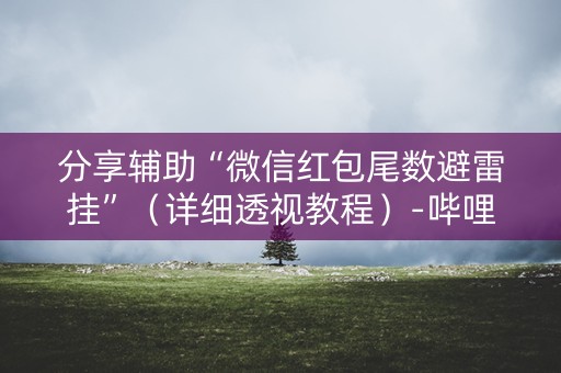 分享辅助“微信红包尾数避雷挂”（详细透视教程）-哔哩哔哩