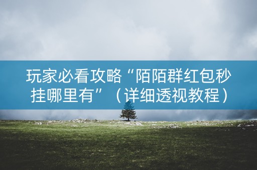玩家必看攻略“陌陌群红包秒挂哪里有”（详细透视教程）-哔哩哔哩