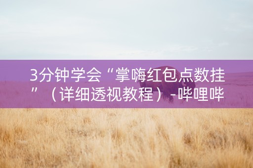 3分钟学会“掌嗨红包点数挂”（详细透视教程）-哔哩哔哩