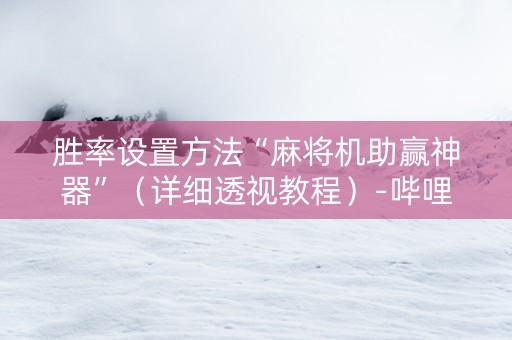 胜率设置方法“麻将机助赢神器”（详细透视教程）-哔哩哔哩