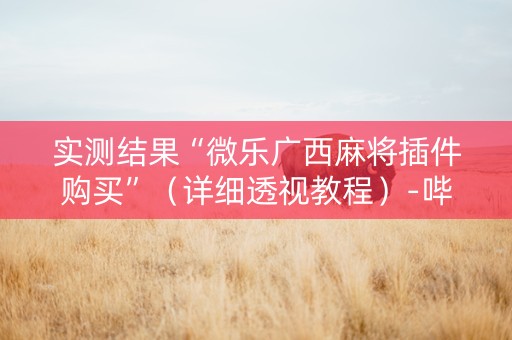 实测结果“微乐广西麻将插件购买”（详细透视教程）-哔哩哔哩
