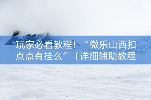 玩家必看教程！“微乐山西扣点点有挂么”（详细辅助教程）-哔哩哔哩