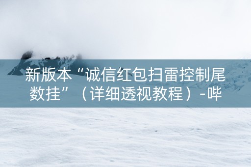 新版本“诚信红包扫雷控制尾数挂”（详细透视教程）-哔哩哔哩