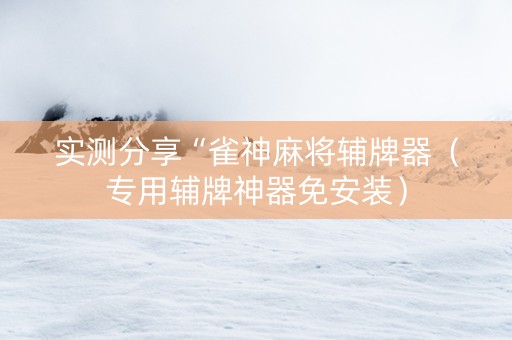 实测分享“雀神麻将辅牌器（专用辅牌神器免安装）