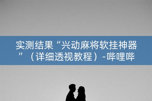 实测结果“兴动麻将软挂神器”（详细透视教程）-哔哩哔哩