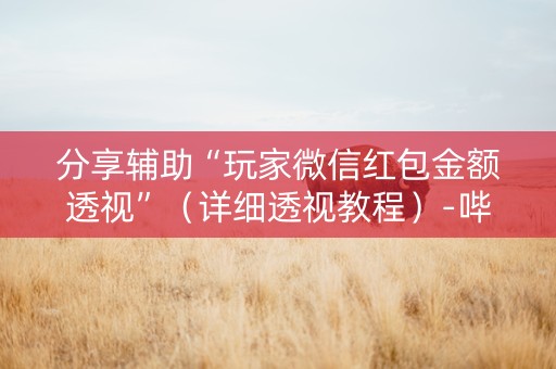 分享辅助“玩家微信红包金额透视”（详细透视教程）-哔哩哔哩