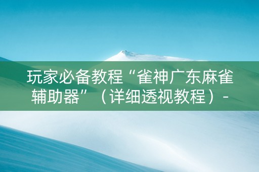 玩家必备教程“雀神广东麻雀辅助器”（详细透视教程）-哔哩哔哩