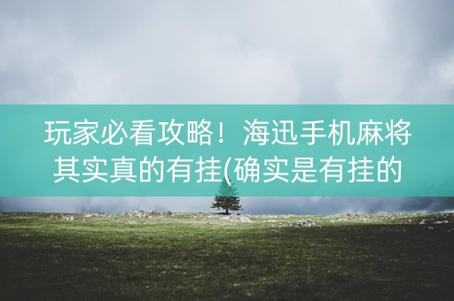 玩家必看攻略！海迅手机麻将其实真的有挂(确实是有挂的)